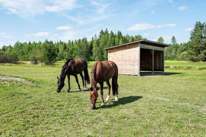 Bild av närområdet