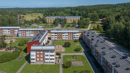 Bild av närområdet