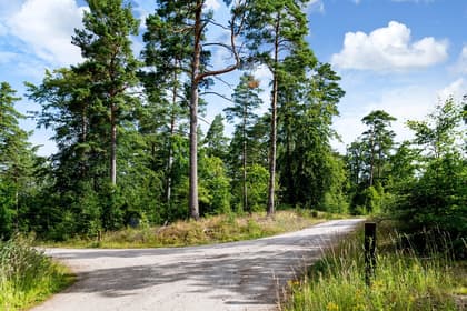 Bild av närområdet