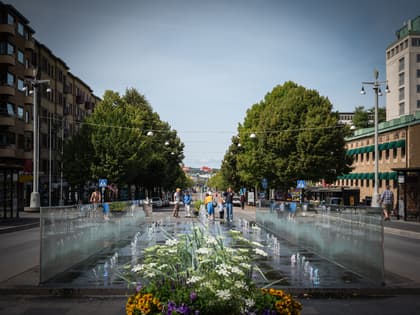 Bild av närområdet