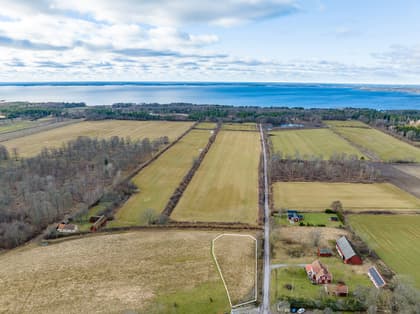 Bild av närområdet