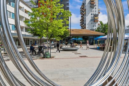 Bild av närområdet