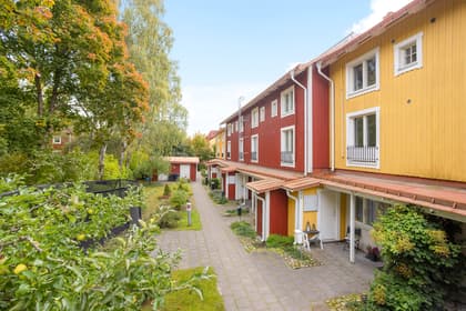 Bild av närområdet