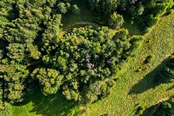 Skinnmo 1:54, Trollhättan