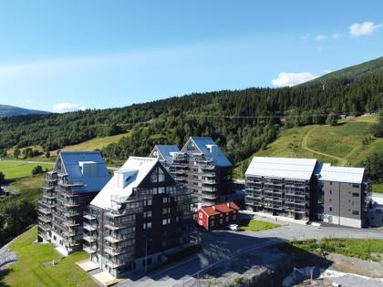 Bild av närområdet