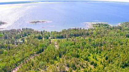 Havtornsvägen 1, Gräsö