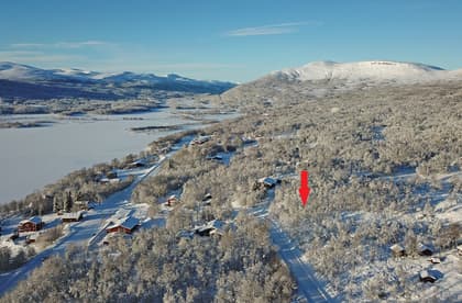 Bild av närområdet