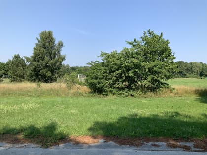 Bild av närområdet