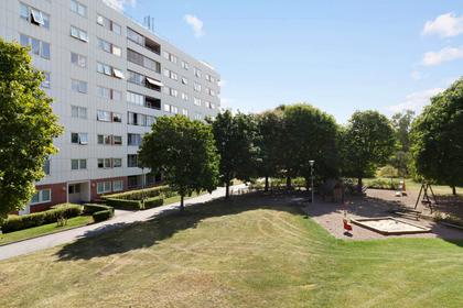 Bild av närområdet