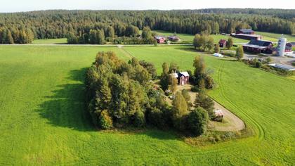 Bild av närområdet