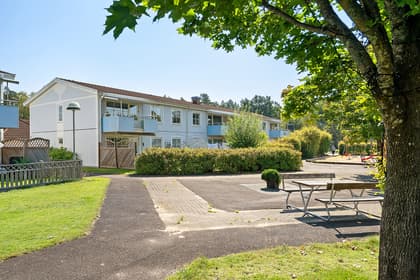 Bild av närområdet