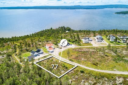 Bild av närområdet