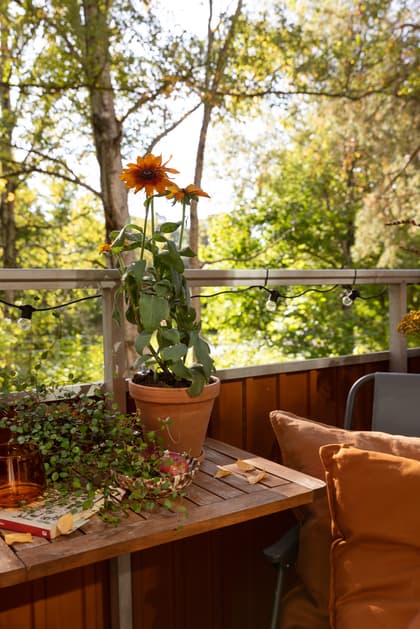 Balkong eller utsiktsbild