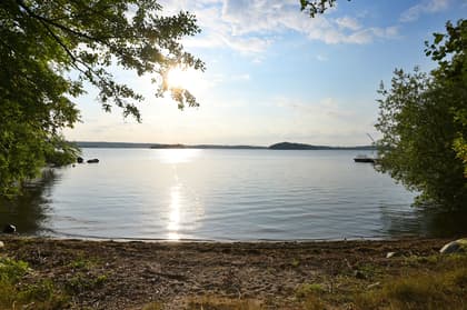 Bild av närområdet