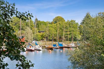 Bild av närområdet