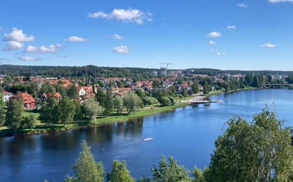 Bild av närområdet