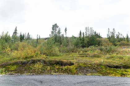 Bild av närområdet