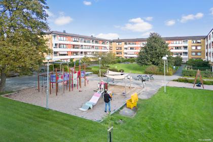 Bild av närområdet