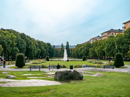 Bild av närområdet