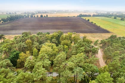 Bild av närområdet