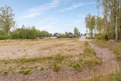 Bild av närområdet