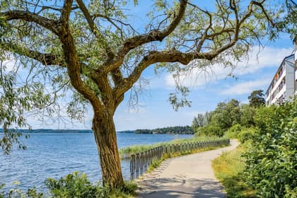 Bild av närområdet