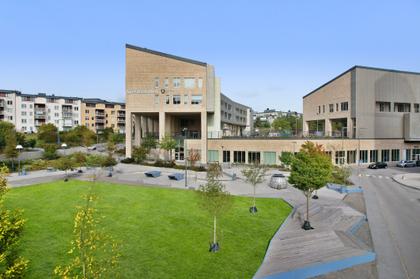 Bild av närområdet