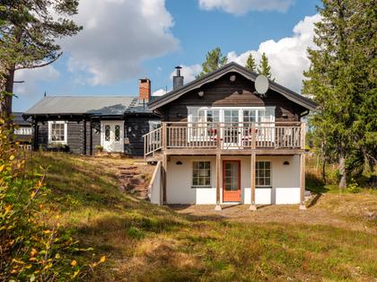 Bild av närområdet