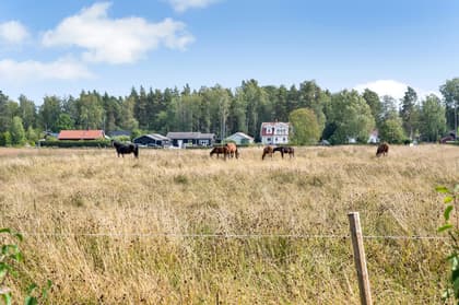 Bild av närområdet