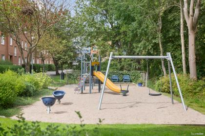 Bild av närområdet