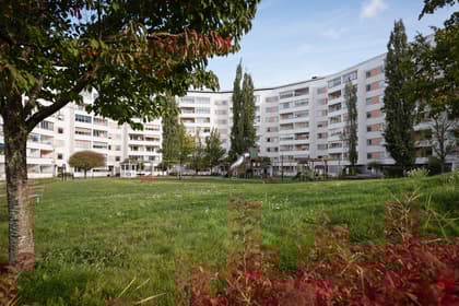 Bild av närområdet