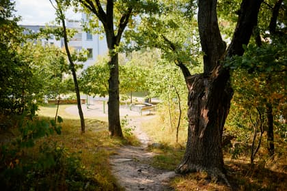 Bild av närområdet