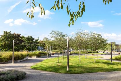 Bild av närområdet