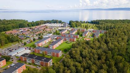 Bild av närområdet