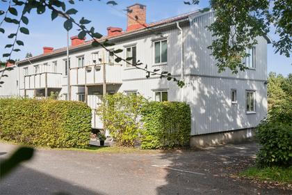 Bild av närområdet