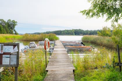 Bild av närområdet