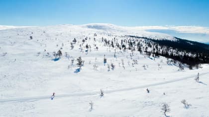 Bild av närområdet