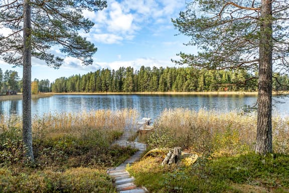 Ön i Gärdsjön, Rättvik