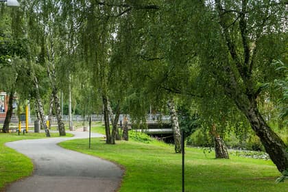 Bild av närområdet