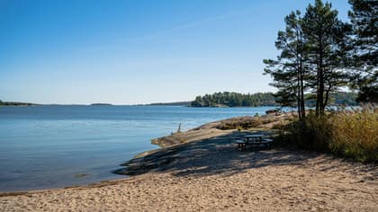 Bild av närområdet