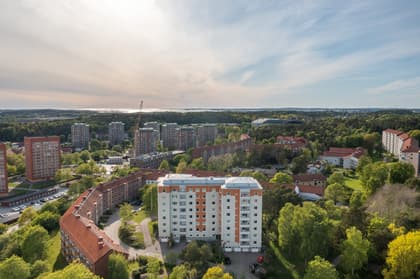 Bild av närområdet