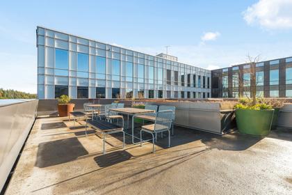 Bild av närområdet