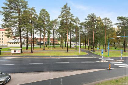 Bild av närområdet