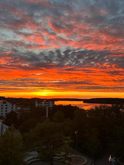 Bild av närområdet