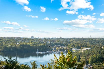 Bild av närområdet