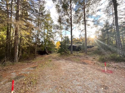 Sävsångarvägen 3, Vidja