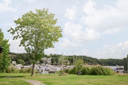 Bild av närområdet