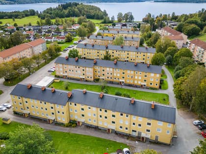 Bild av närområdet