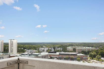 Bild av närområdet