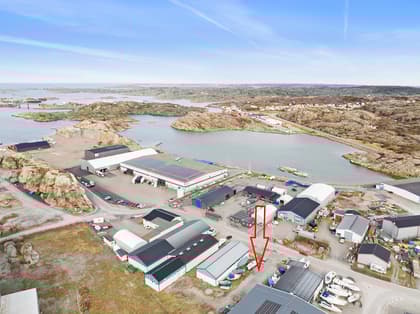 Bild av närområdet